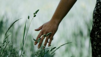 matt-seymour-lK9SuLDjS5M-unsplash(1)